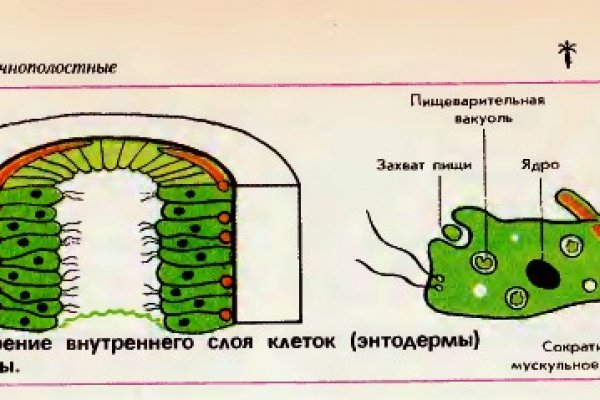 Официальная омг